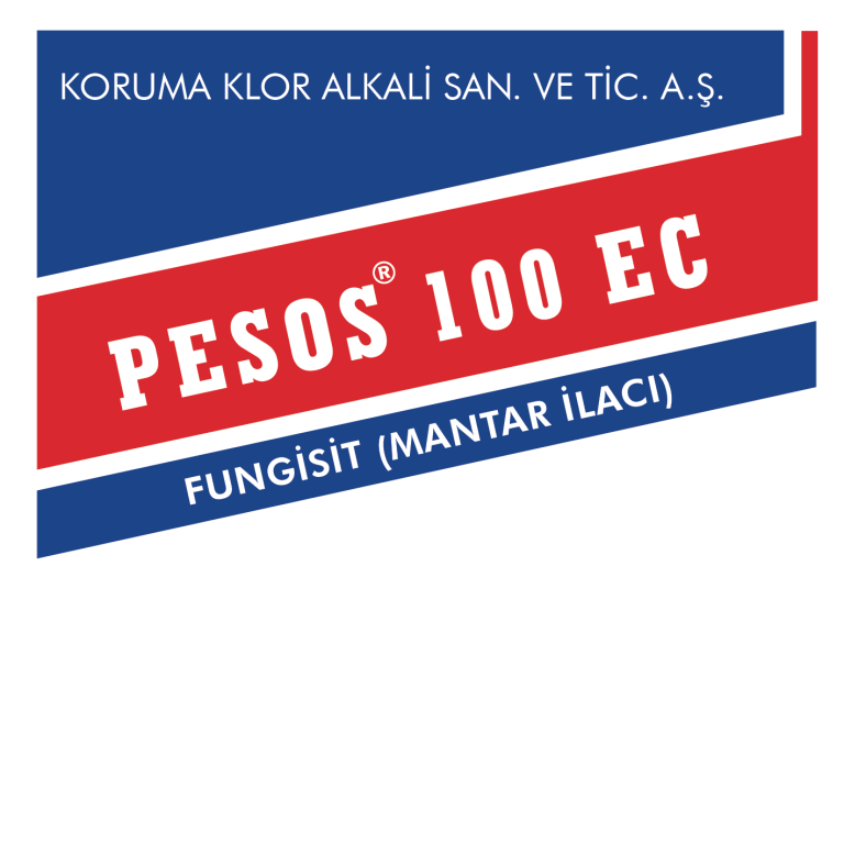  Pesos 100 EC