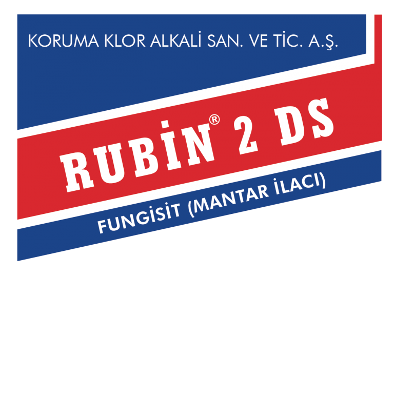  Rubin 2 DS