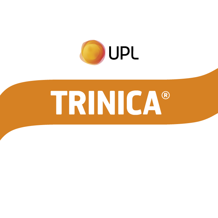 TRINICA