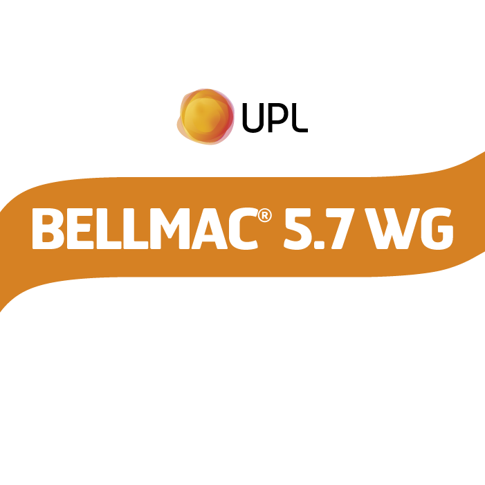 BELLMAC 5.7 WG