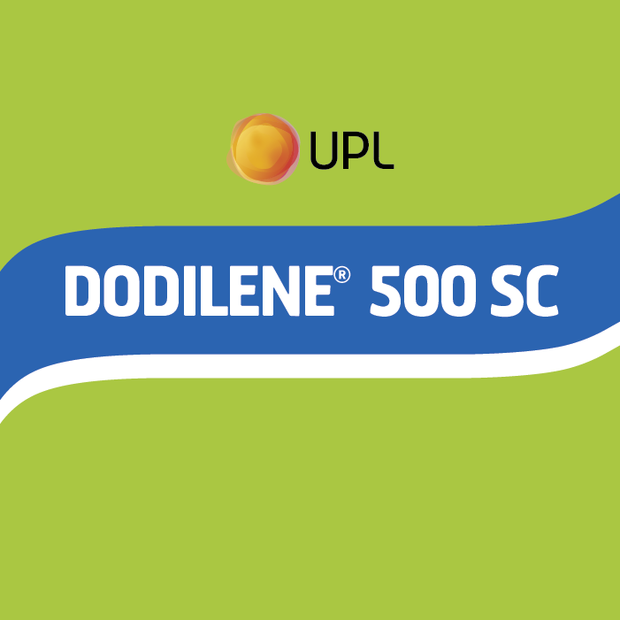 Dodilene 500 SC