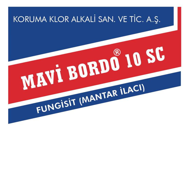 Mavi Bordo 10 SC