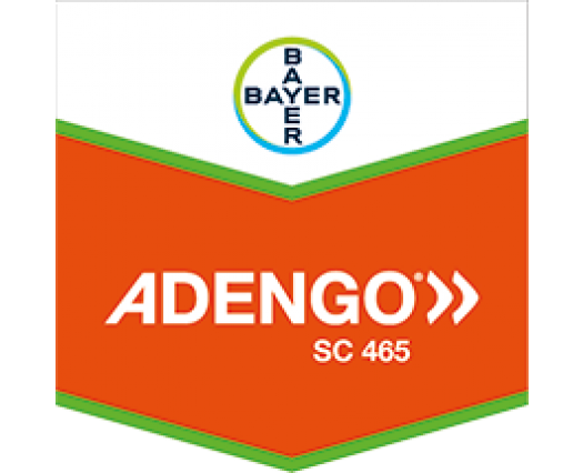 ADENGO SC 465