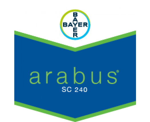 ARABUS SC 240