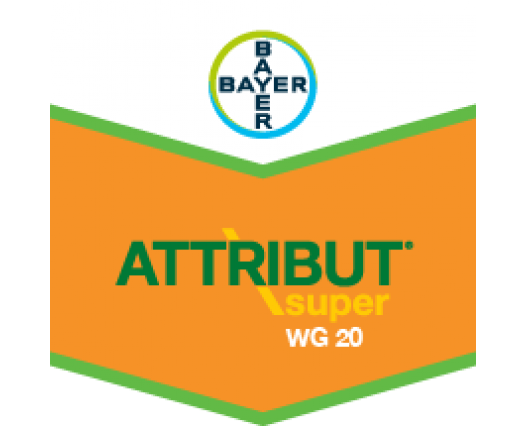 ATTRIBUT SUPER WG 20