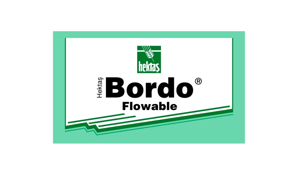 HEKTAŞ BORDO® FLOWABLE