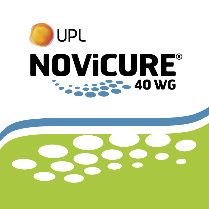 NOVICURE 40 WG