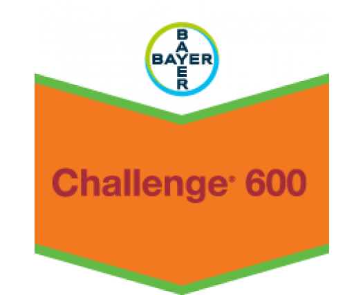 CHALLENGE SC 600