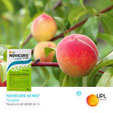 NOVICURE 40 WG