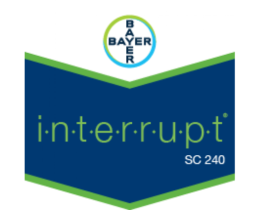 İNTERRUPT SC 240