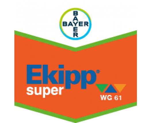 EKIPP SUPER WG 61