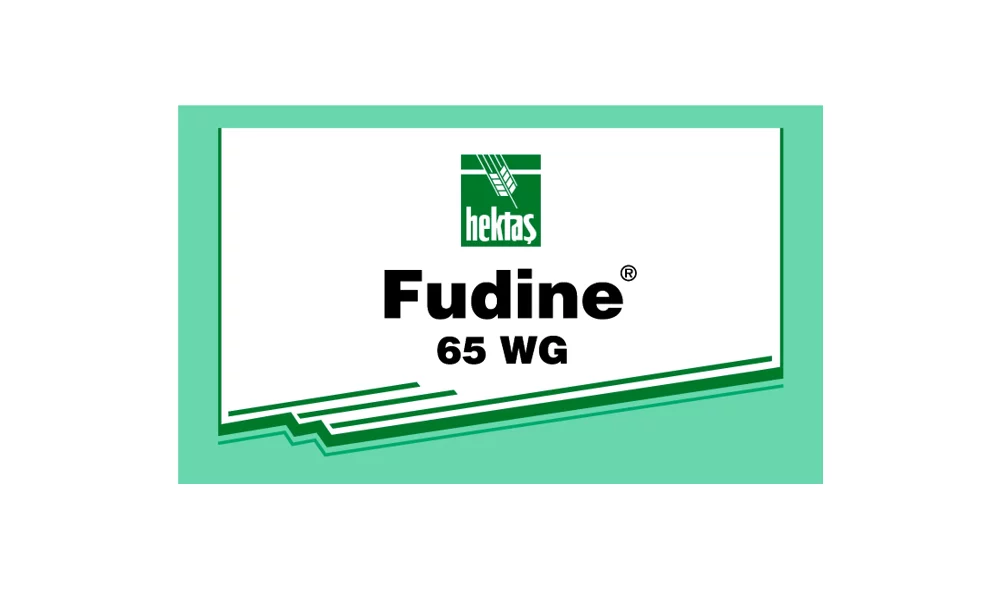 FUDINE® 65 WP