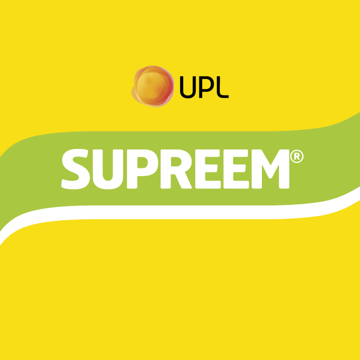 SUPREEM