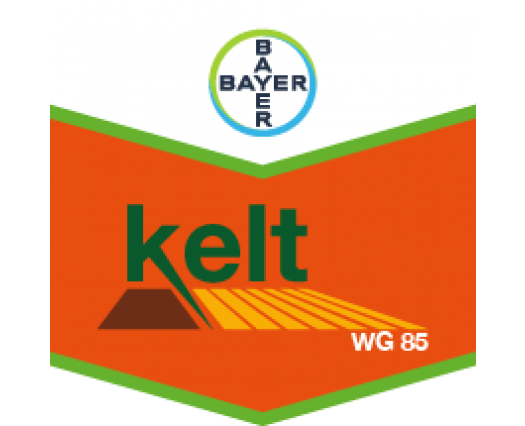 KELT WG 85