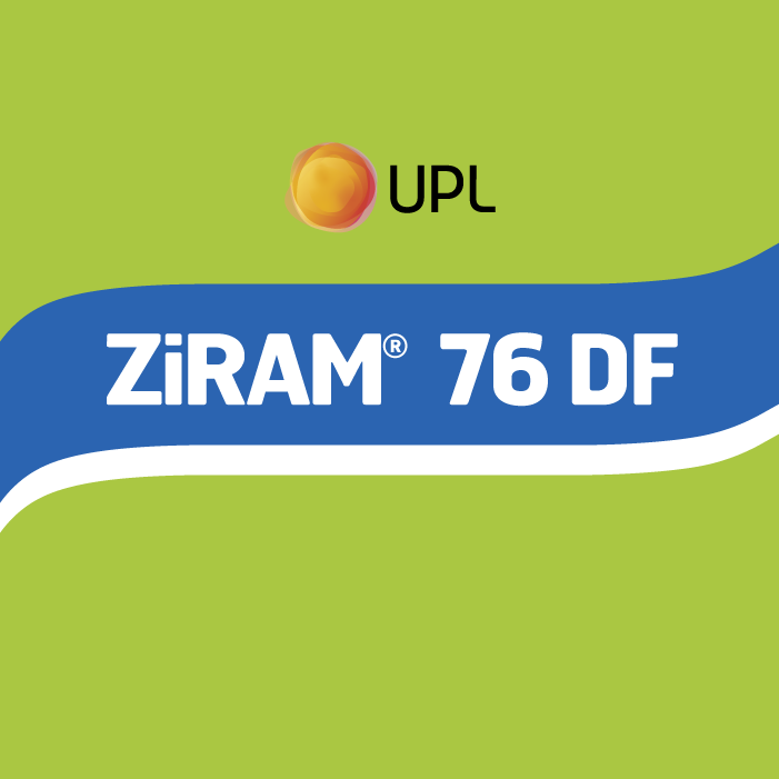 ZIRAM 76 DF