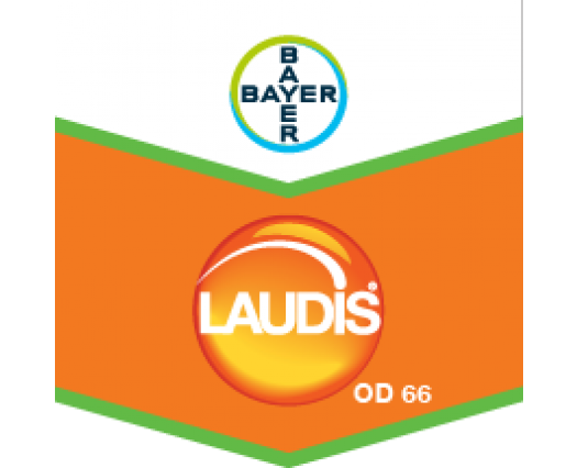 LAUDIS OD 66