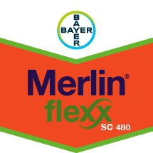 MERLİN FLEXX SC480