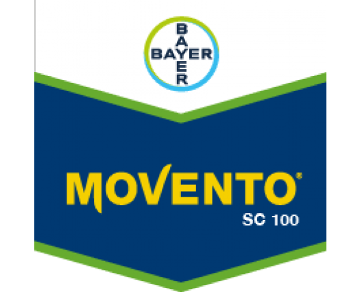 MOVENTO SC 100