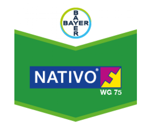 NATIVO WG 75